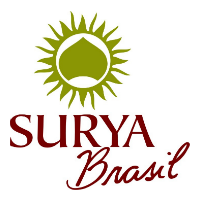Wholesale distributor natural henna hair dye Surya Brasil