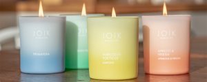 European wholesaler distributor 100% natural scented candles