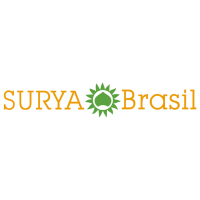 Wholesale distributor natural henna hair dye Surya Brasil